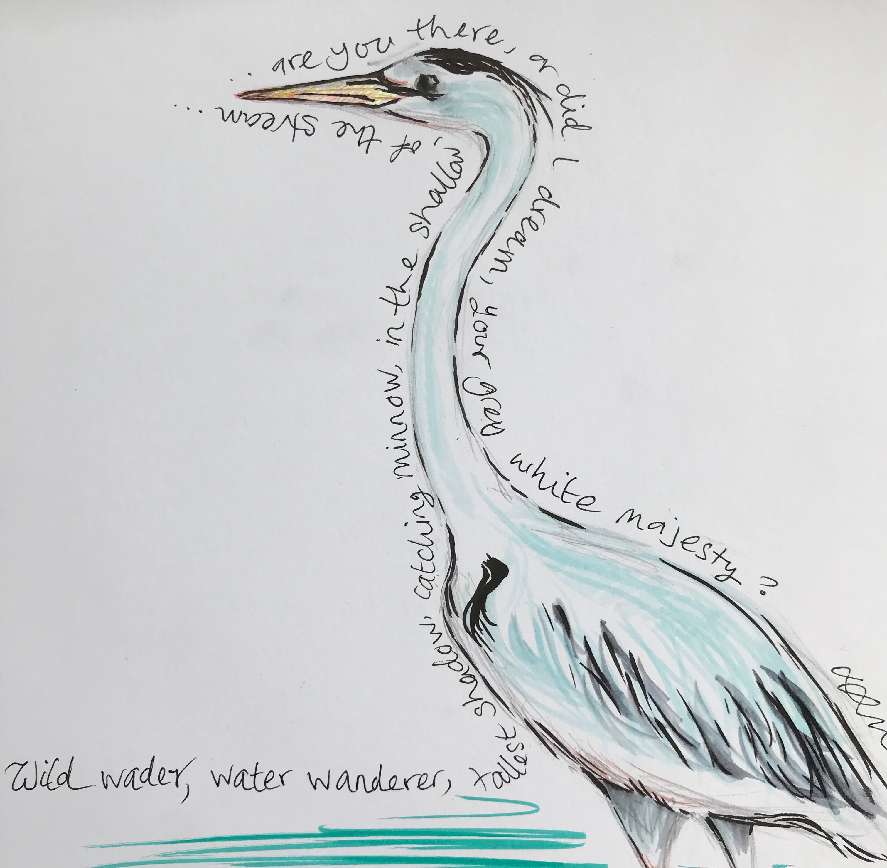 Heron I: poem and sketch by Laura Frances Martin 2020 Heron I: poem and sketch by Laura Frances Martin 2020