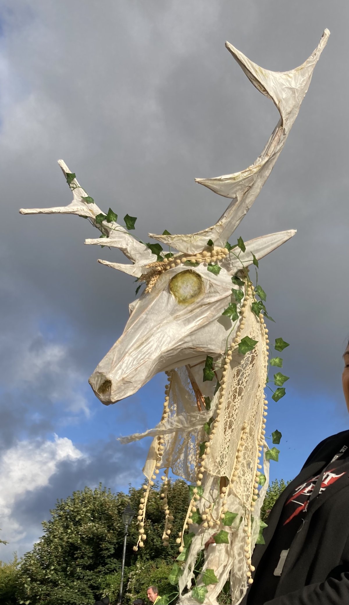 The Phoenix/Eagle at Luxulyan Carnival - made by Year 5 & 6 pupils at Luxulyan Primary School, working with Laura Frances Martin. Photo: Haze Lawson The Phoenix/Eagle at Luxulyan Carnival - made by Year 5 & 6 pupils at Luxulyan Primary School, working with Laura Frances Martin. Photo: Haze Lawson
