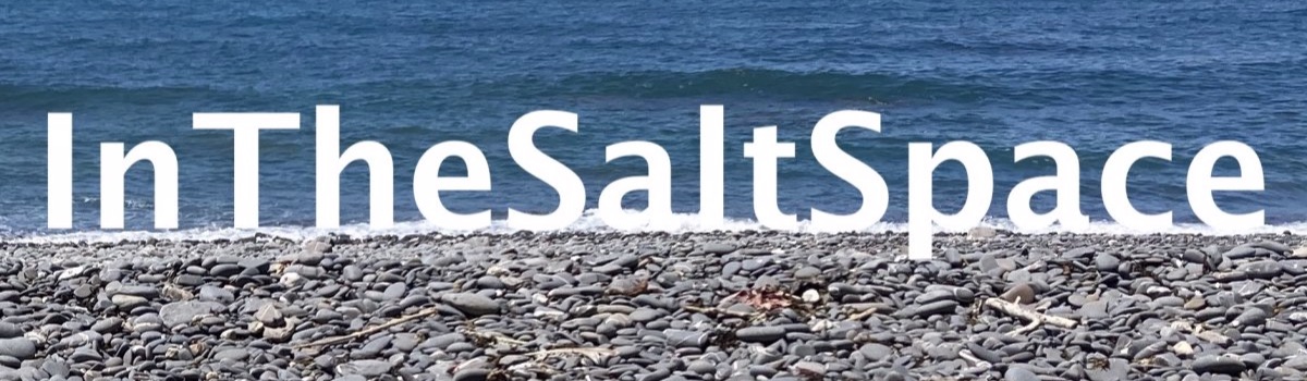 InTheSaltSpace: arts, climate and female empowerment initiative: Laura Frances Martin InTheSaltSpace: arts, climate and female empowerment initiative: Laura Frances Martin